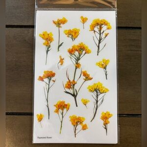 Rapeseed Pressed Flower Stickers